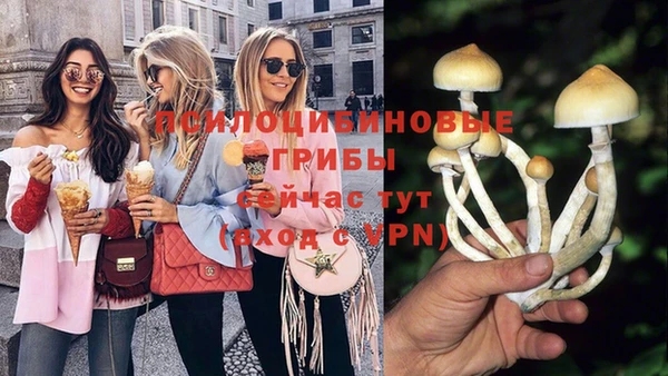 экстази Вяземский
